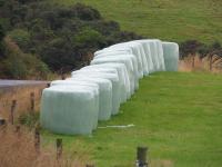 Albums/20060200-New Zealand 2006/20060212-south/35